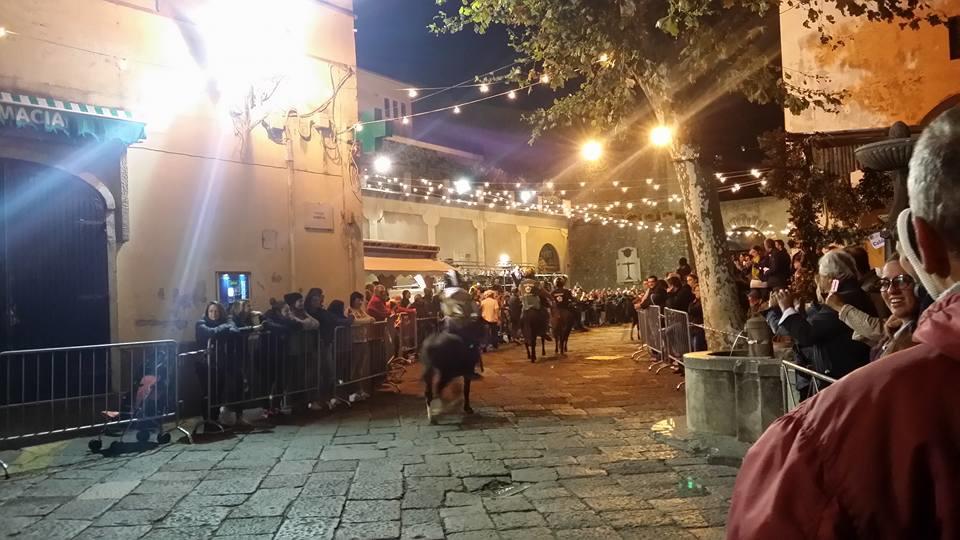 B&B Oliva Scala Bagian luar foto
