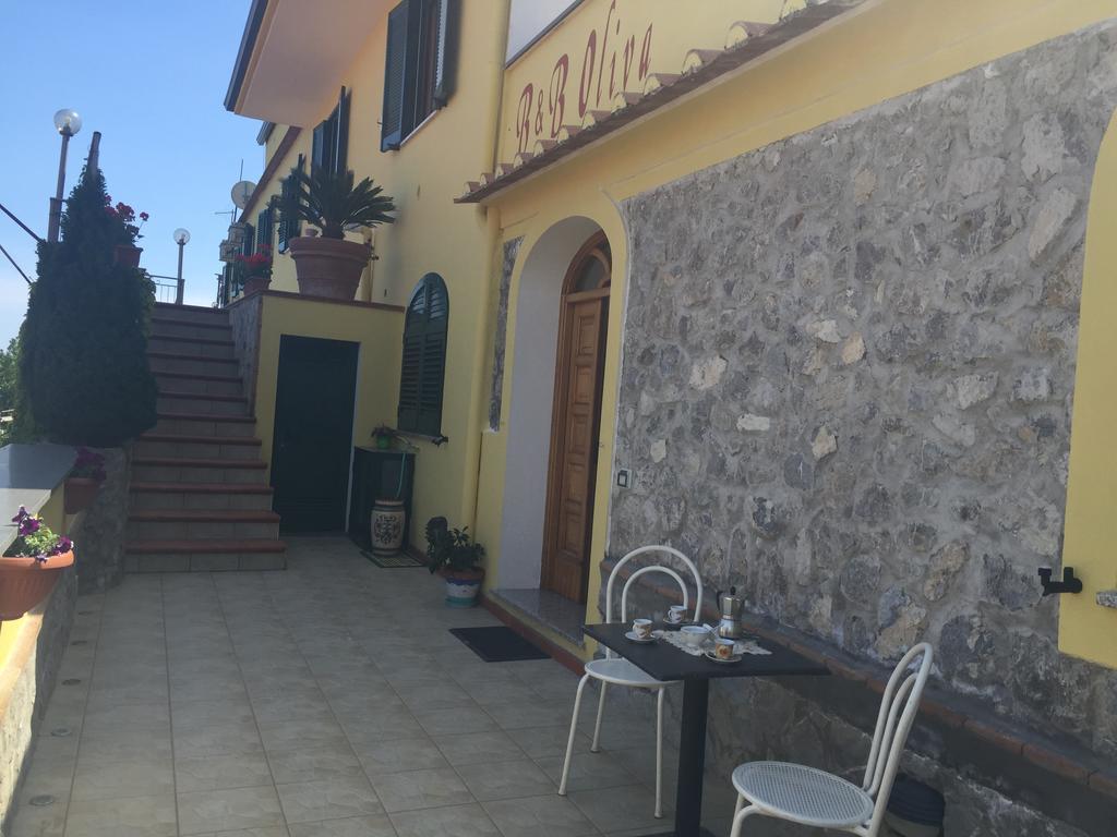 B&B Oliva Scala Bagian luar foto