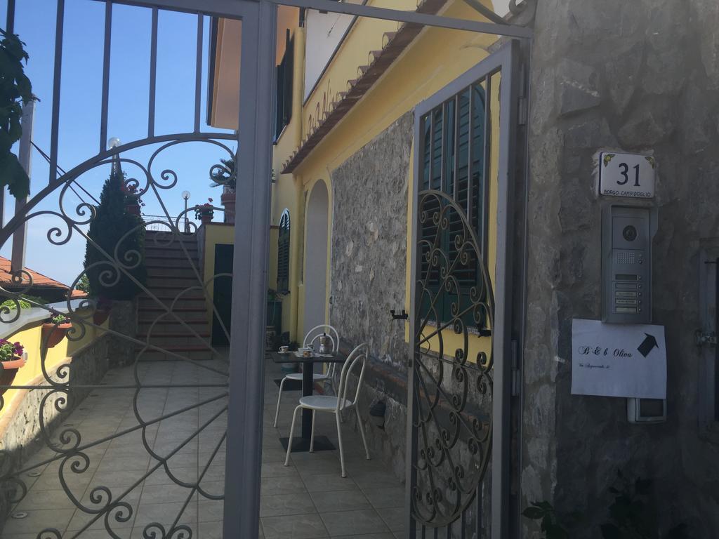 B&B Oliva Scala Bagian luar foto
